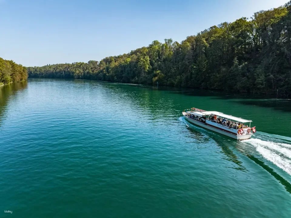 Rhine Falls to Rheinau: 3B Large Circular Cruise | Switzerland