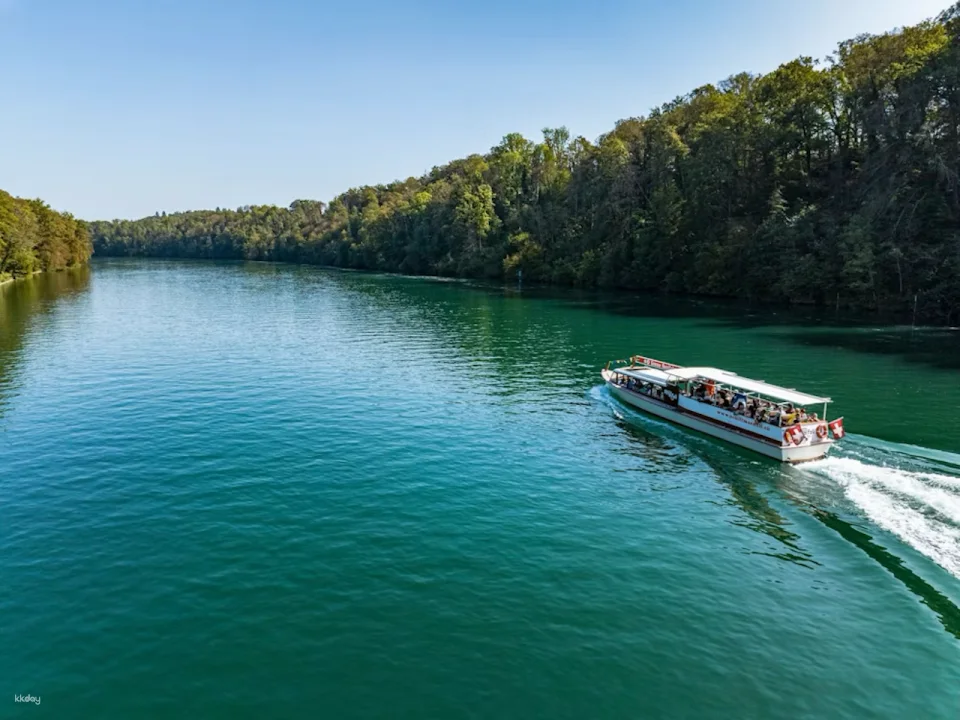 Rhine Falls to Rheinau: 3B Large Circular Cruise | Switzerland