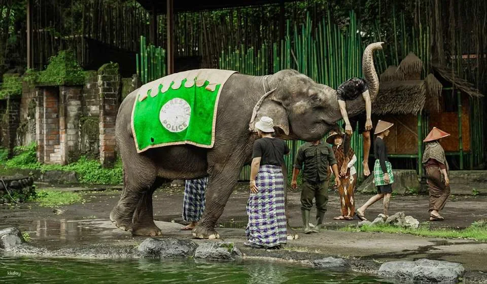[Bali] Safari Marine Park Admission Ticket - Choose from Jungle Hopper, Dragon Night, Rhino Safari
