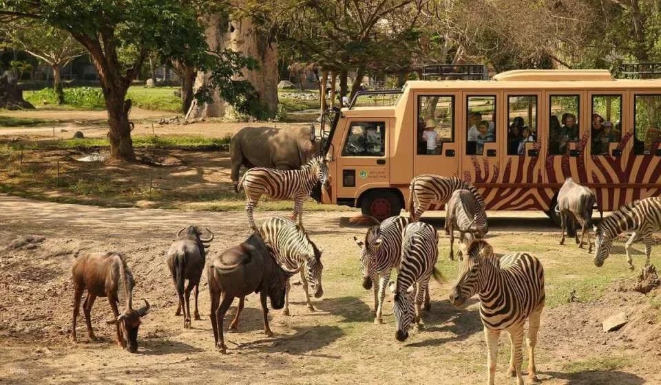 [Bali] Safari Marine Park Admission Ticket - Choose from Jungle Hopper, Dragon Night, Rhino Safari