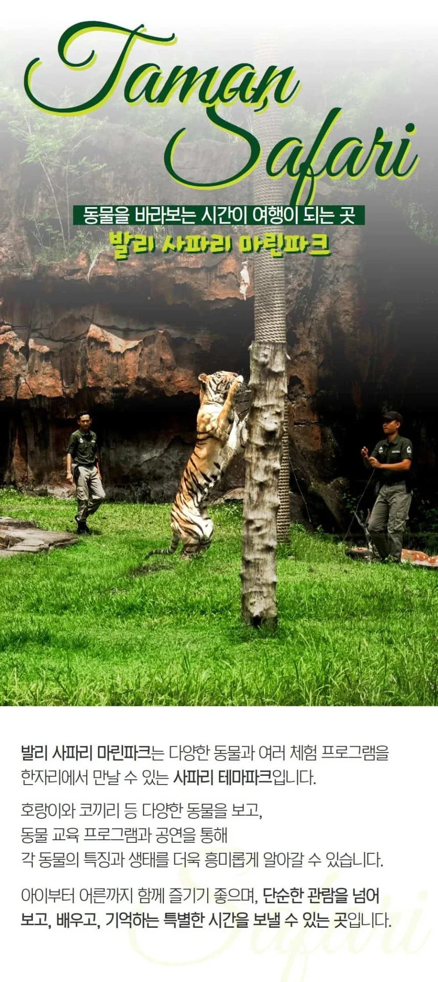 [Bali] Safari Marine Park Admission Ticket - Choose from Jungle Hopper, Dragon Night, Rhino Safari