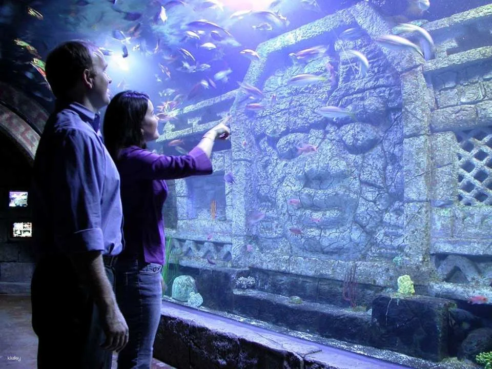 Downtown Aquarium Houston Ticket