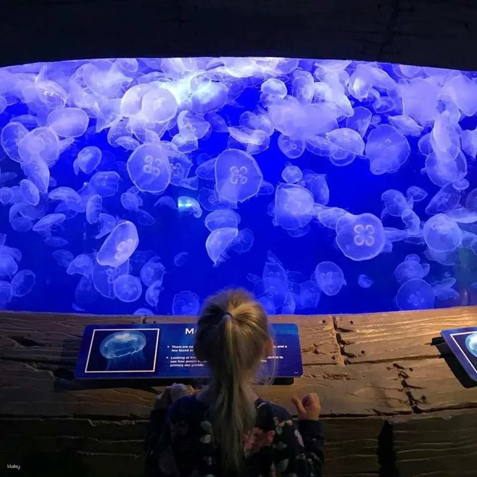 Downtown Aquarium Houston Ticket