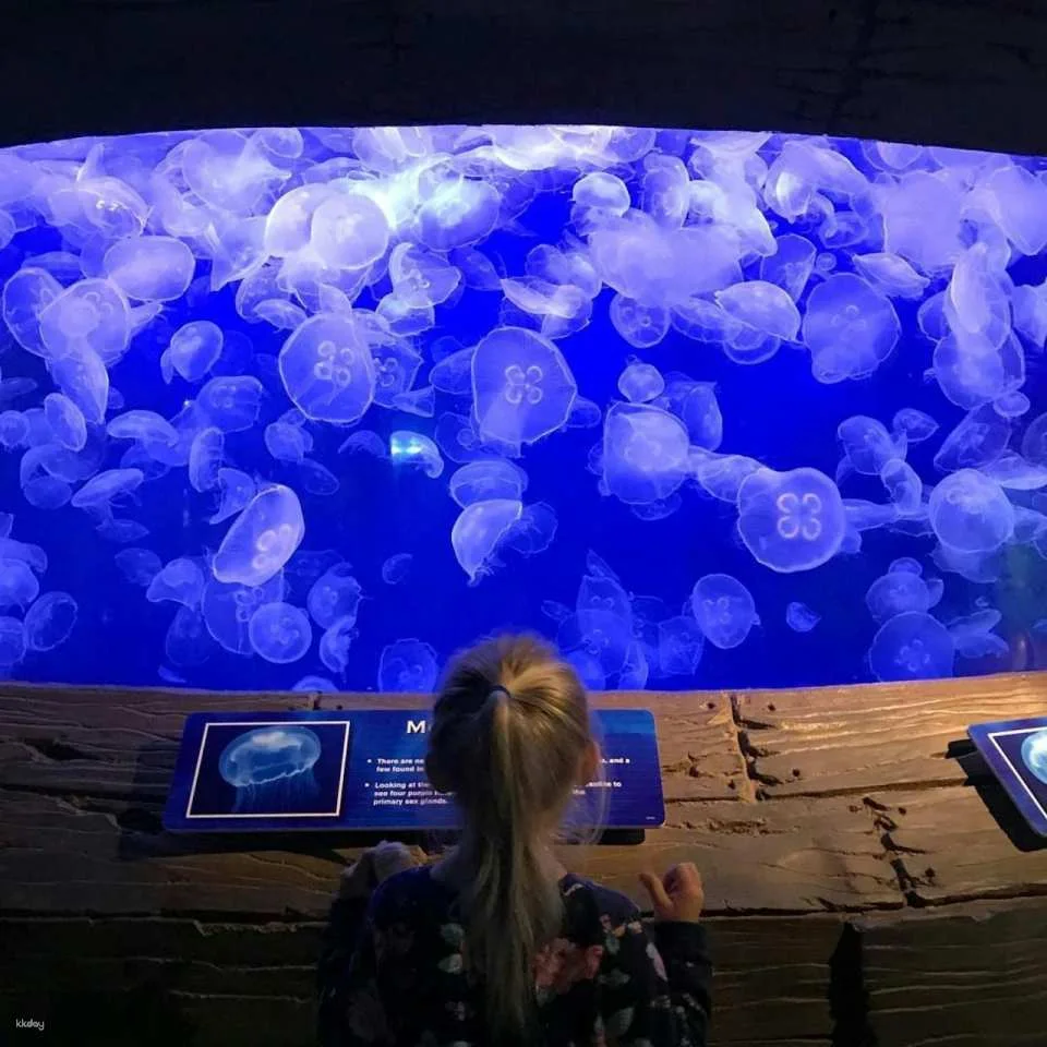 Downtown Aquarium Houston Ticket