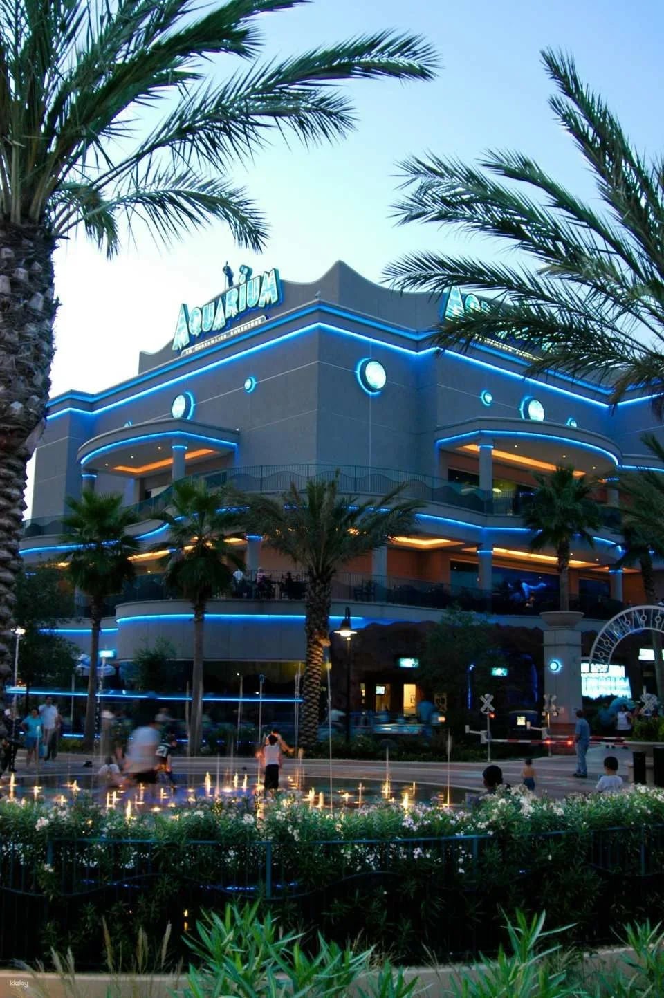 Downtown Aquarium Houston Ticket