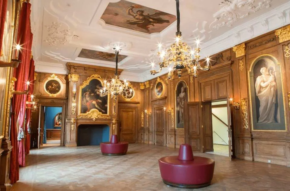 The Mauritshuis Museum Ticket