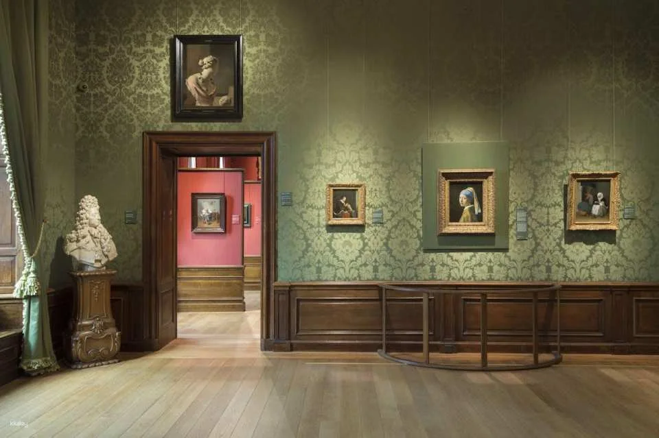 The Mauritshuis Museum Ticket