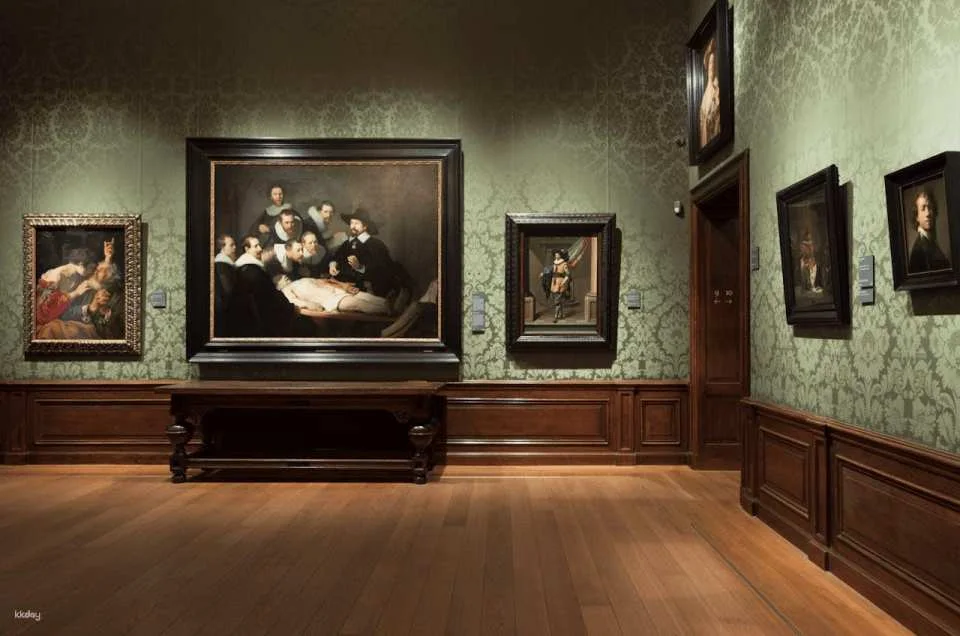The Mauritshuis Museum Ticket