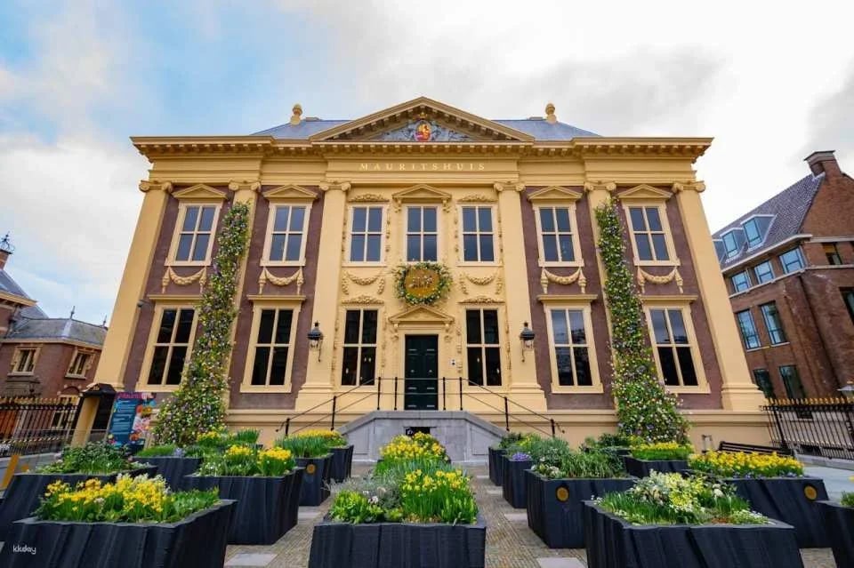 The Mauritshuis Museum Ticket
