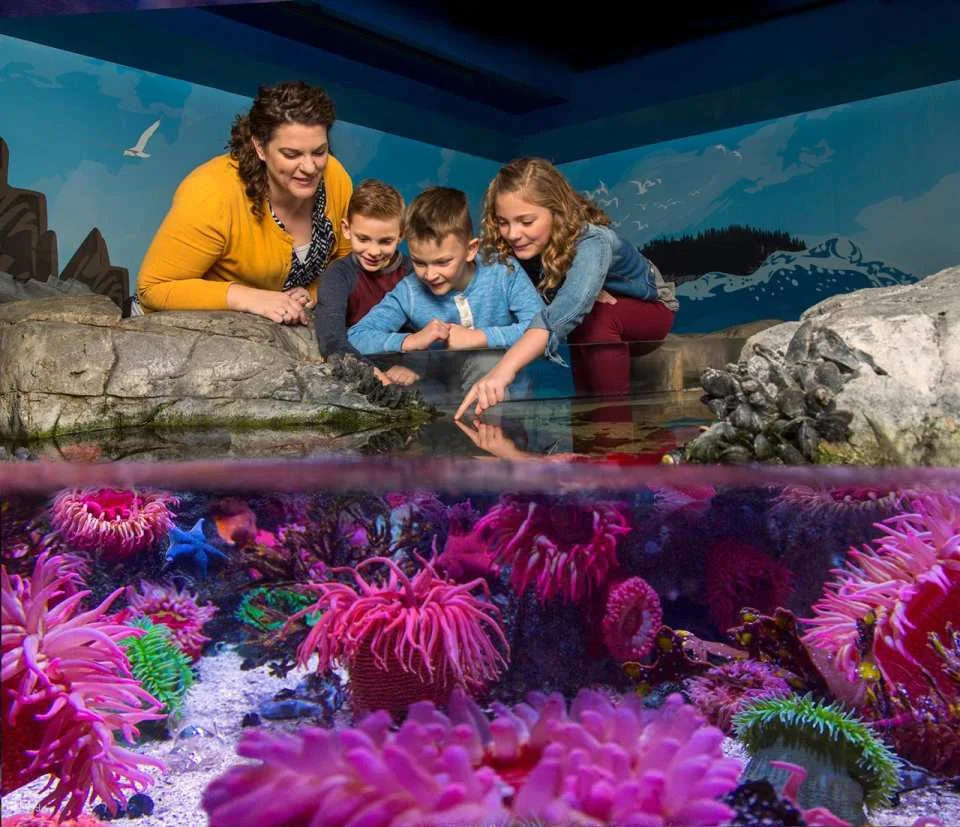 COMBO: Madame Tussauds Orlando + SEA LIFE Orlando Aquarium Ticket