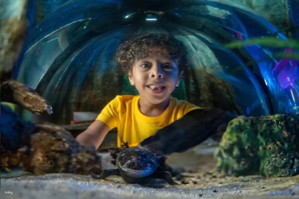 COMBO: Madame Tussauds Orlando + SEA LIFE Orlando Aquarium Ticket