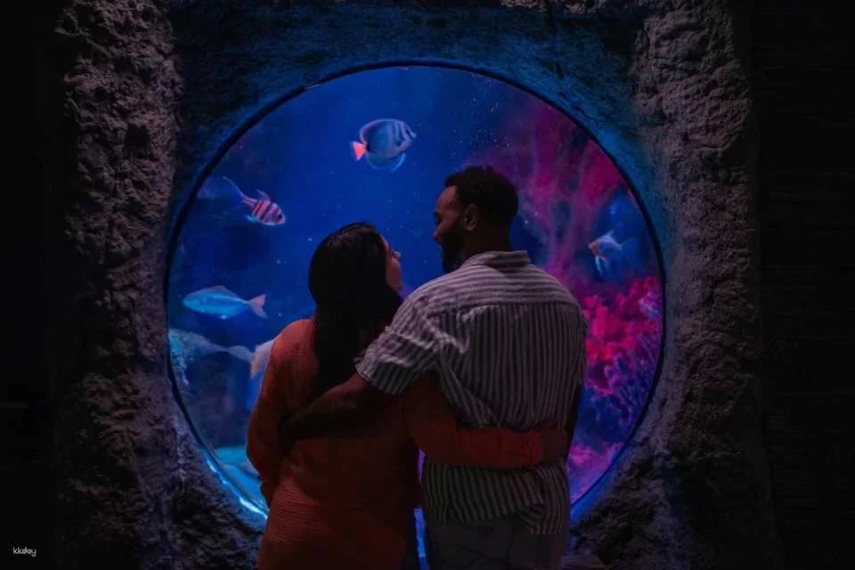 COMBO: Madame Tussauds Orlando + SEA LIFE Orlando Aquarium Ticket