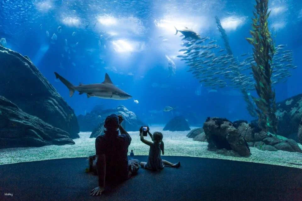 Oceanário de Lisboa Ticket