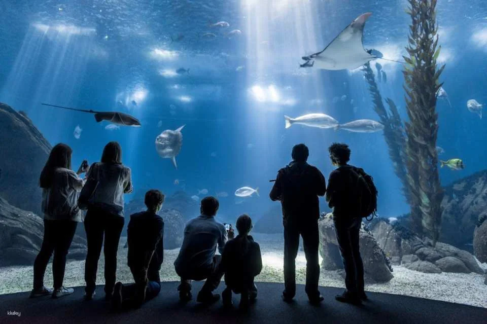 Oceanário de Lisboa Ticket