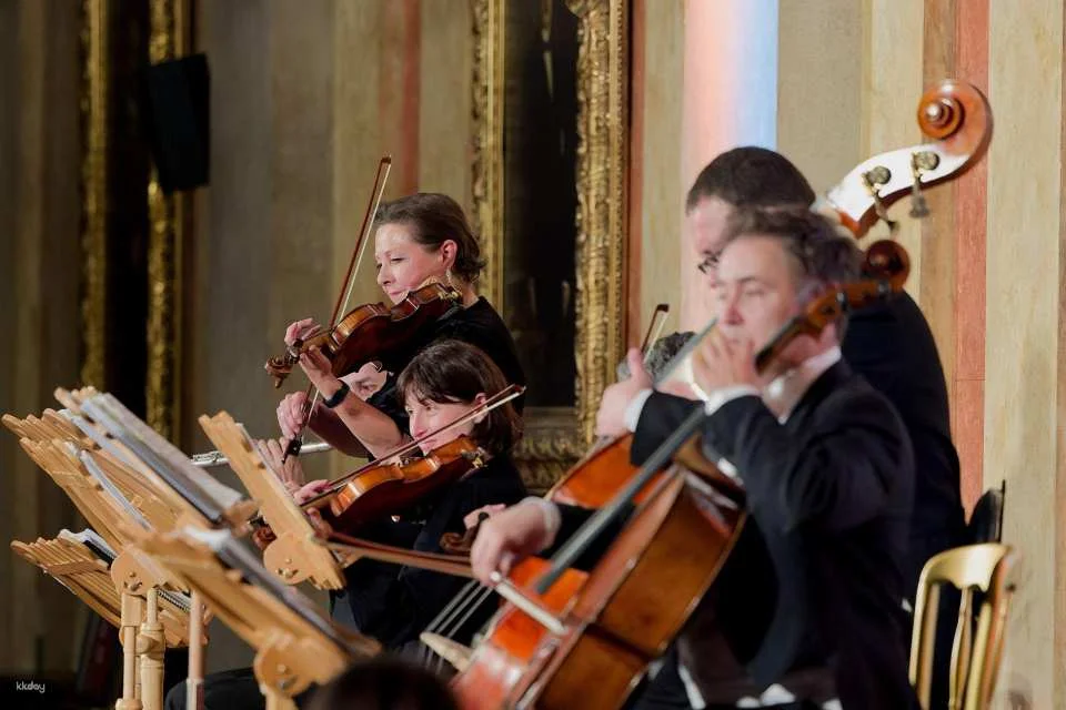 Vienna Residence Orchestra at Borse Palace Ticket