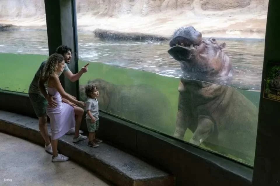 San Antonio Zoo Ticket