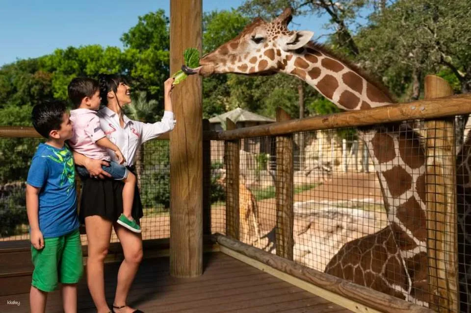San Antonio Zoo Ticket