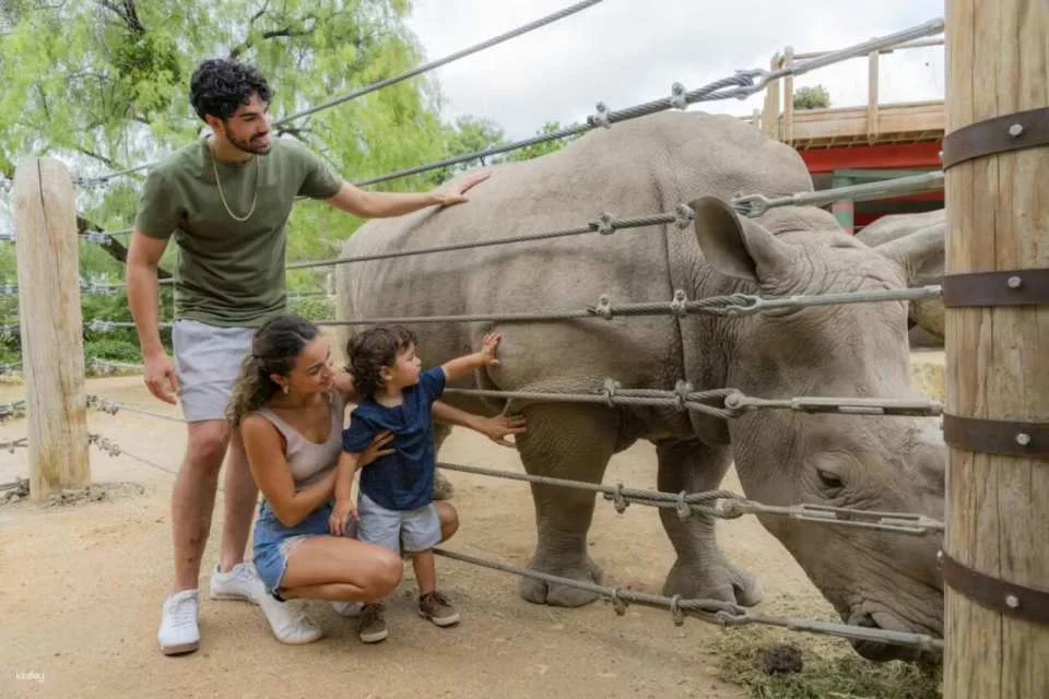San Antonio Zoo Ticket