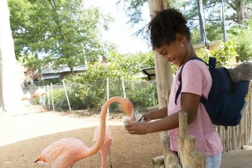 San Antonio Zoo Ticket