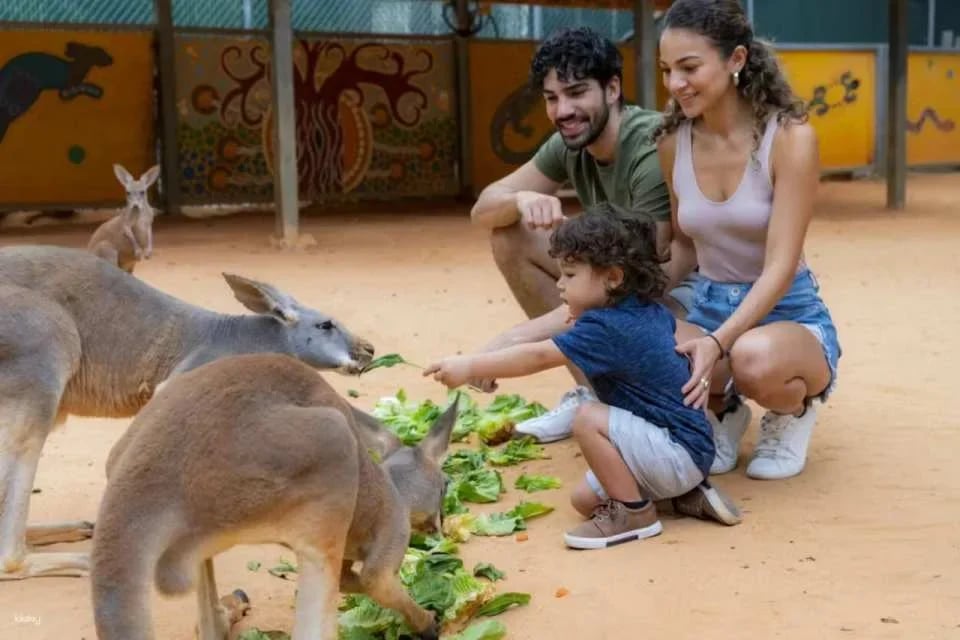 San Antonio Zoo Ticket