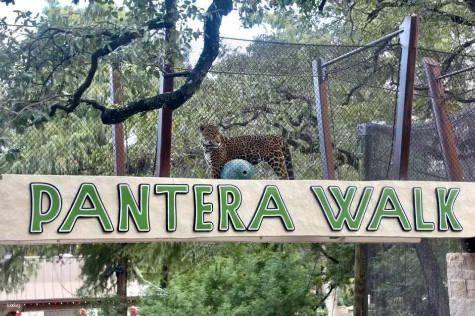 San Antonio Zoo Ticket