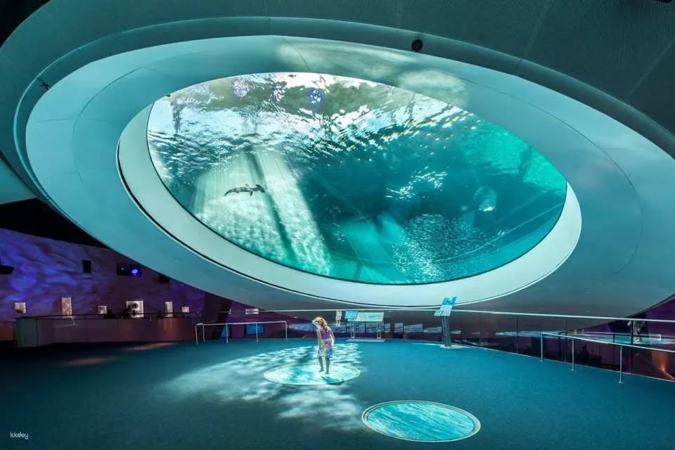 Phillip & Patricia Frost Museum of Science, Aquarium and Planetarium Ticket