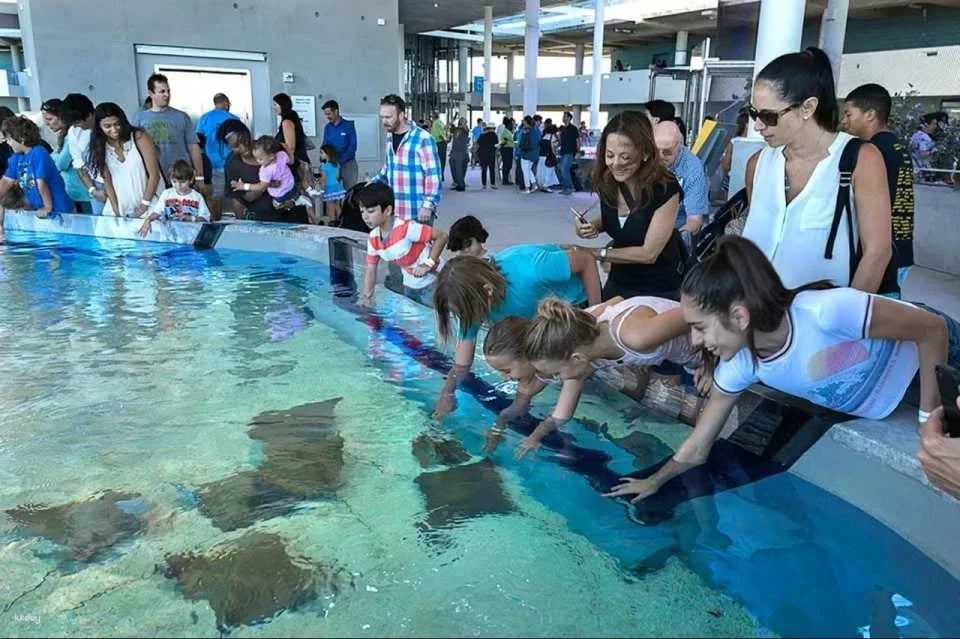Phillip & Patricia Frost Museum of Science, Aquarium and Planetarium Ticket