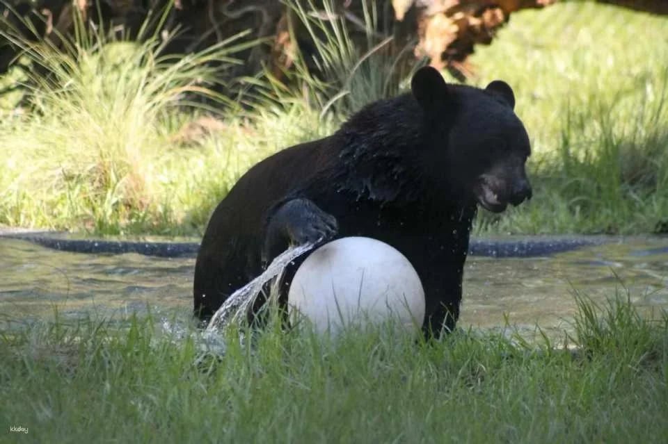 Central Florida Zoo & Botanical Gardens Ticket