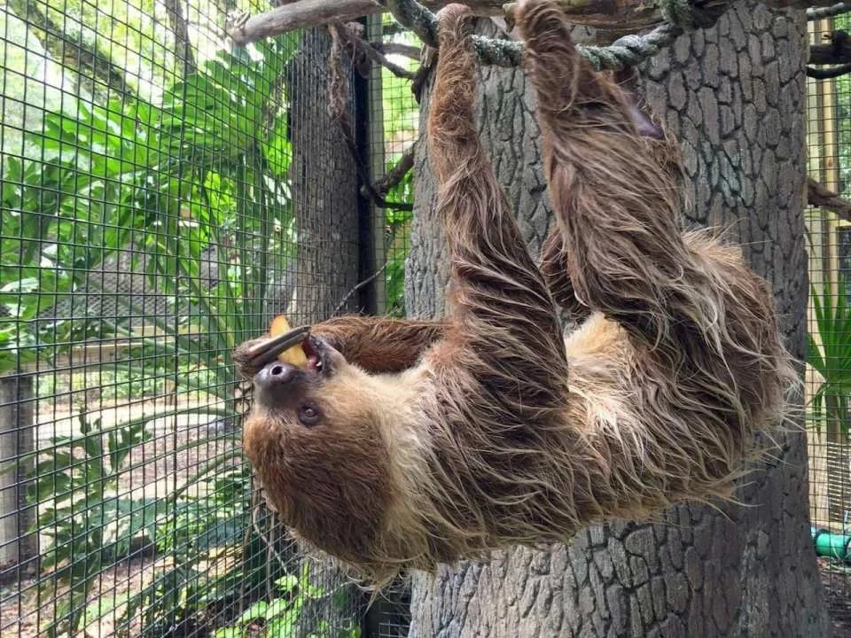 Central Florida Zoo & Botanical Gardens Ticket