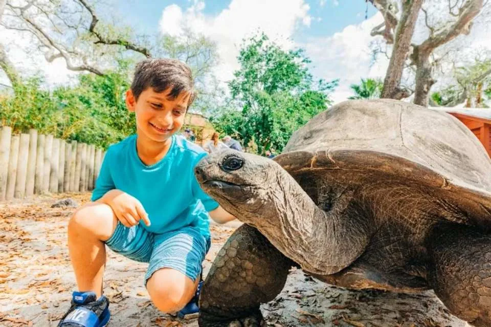 ZooTampa at Lowry Park Ticket (634943)
