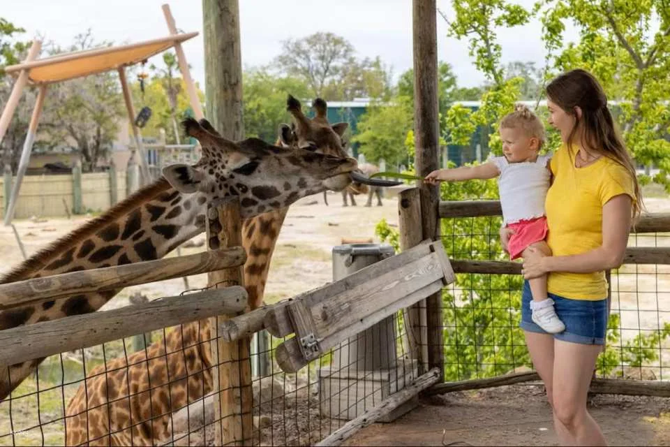 ZooTampa at Lowry Park Ticket