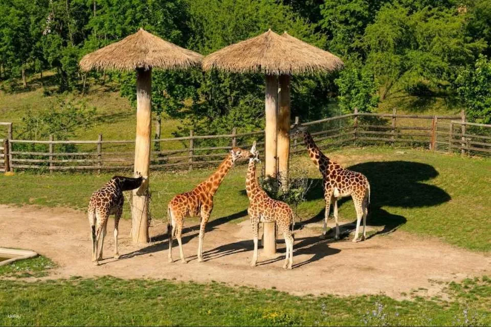 Prague Zoo Ticket + Audio Guide