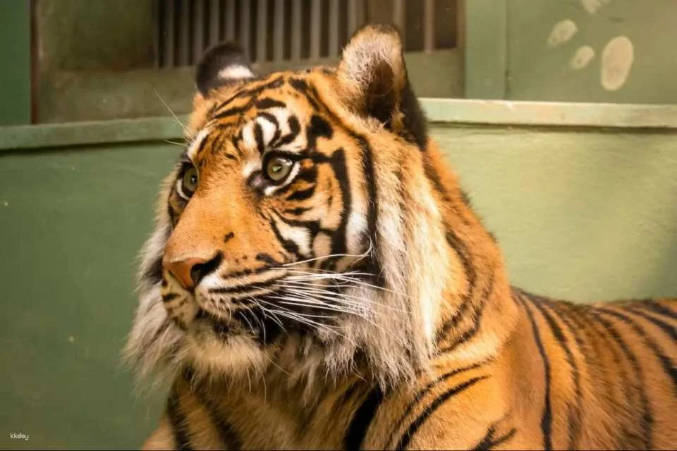 Prague Zoo Ticket + Audio Guide
