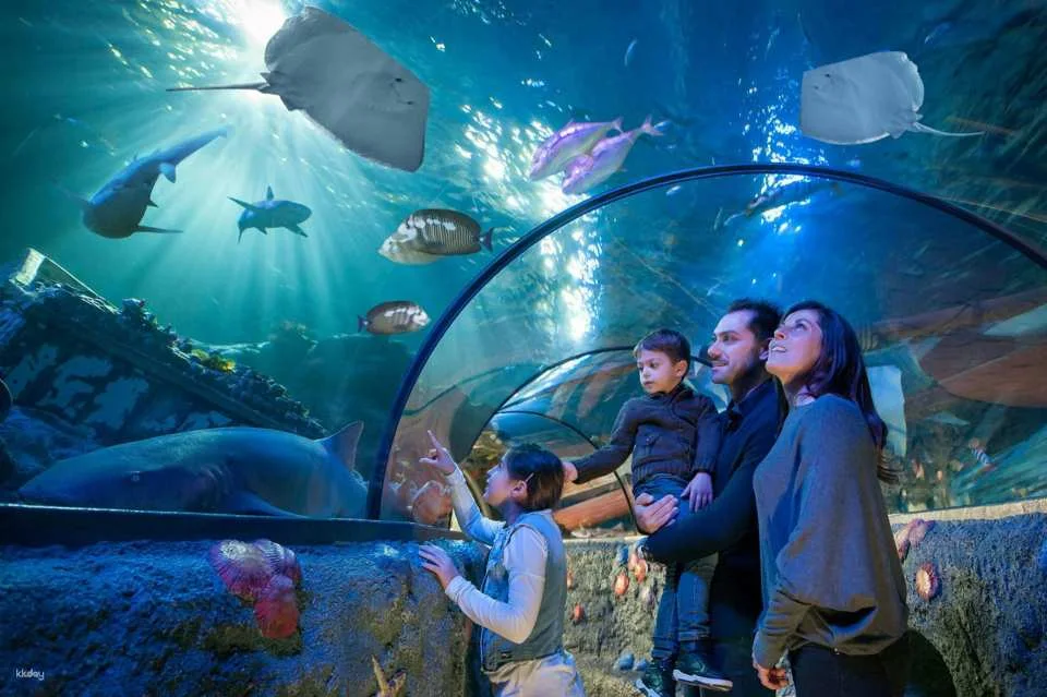 Gardaland SEA LIFE Aquarium Ticket