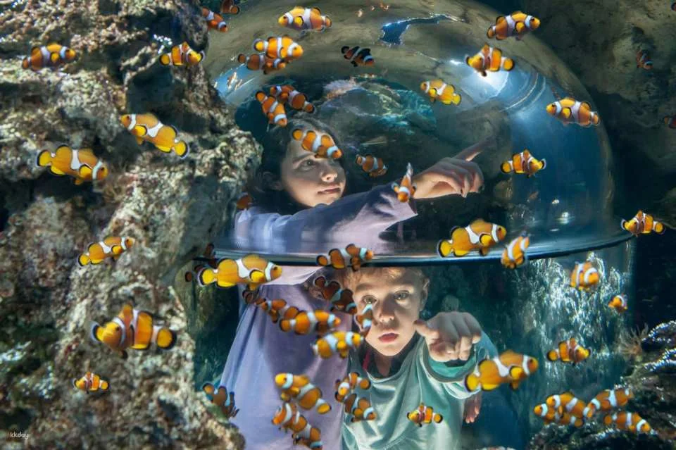 Gardaland SEA LIFE Aquarium Ticket