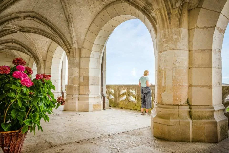Château d'Amboise Skip The Line Ticket