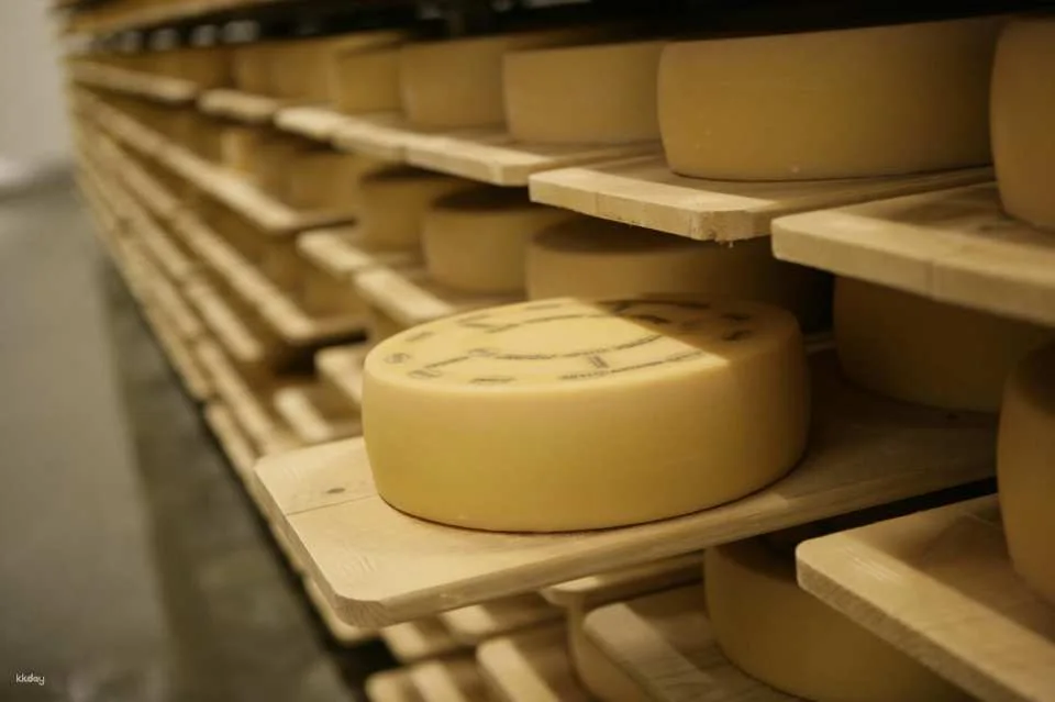 Appenzell Tour from Zurich with Cheese and Chocolate Tasting