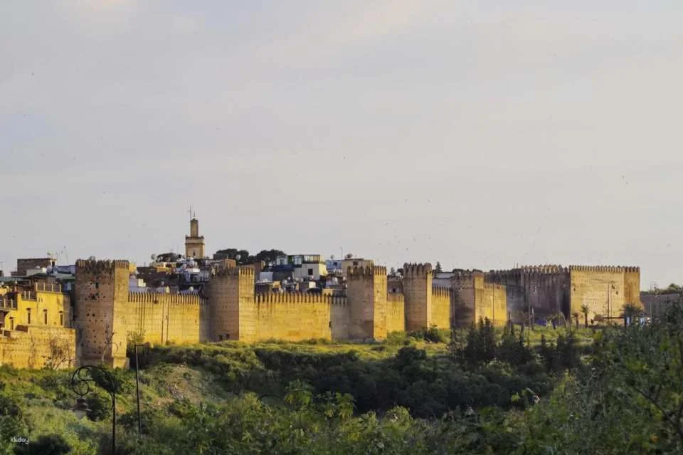 Fez Full-Day Tour from Casablanca: Medina of Fez, Al-Qarawiyyin Mosque, Al-Attarine Medersa