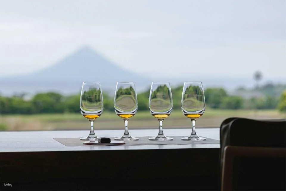Kagoshima Whisky Tour: World's Only Anechoic Chamber Tasting