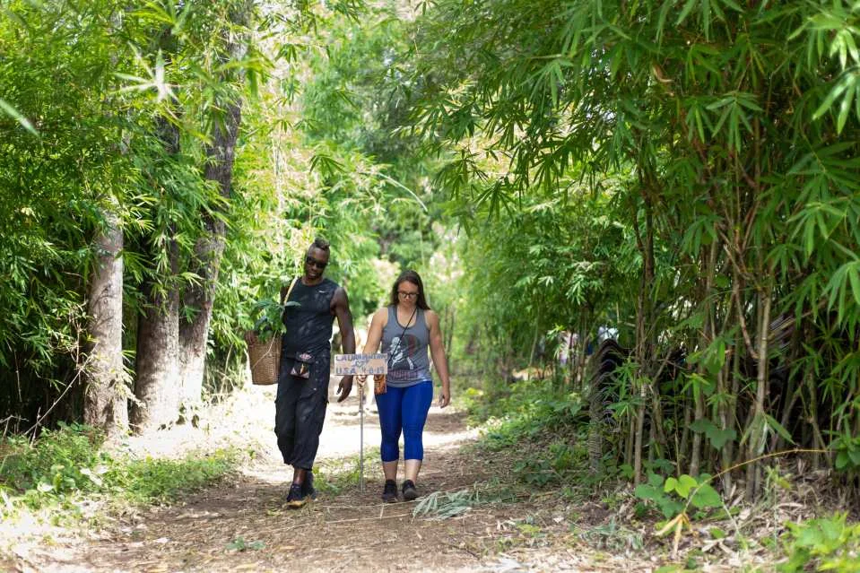 Cultural Private Tour at Hloyo Akha Village | Chiang Rai