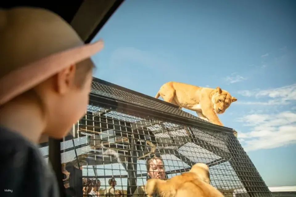 Monarto Safari Park - General Admission