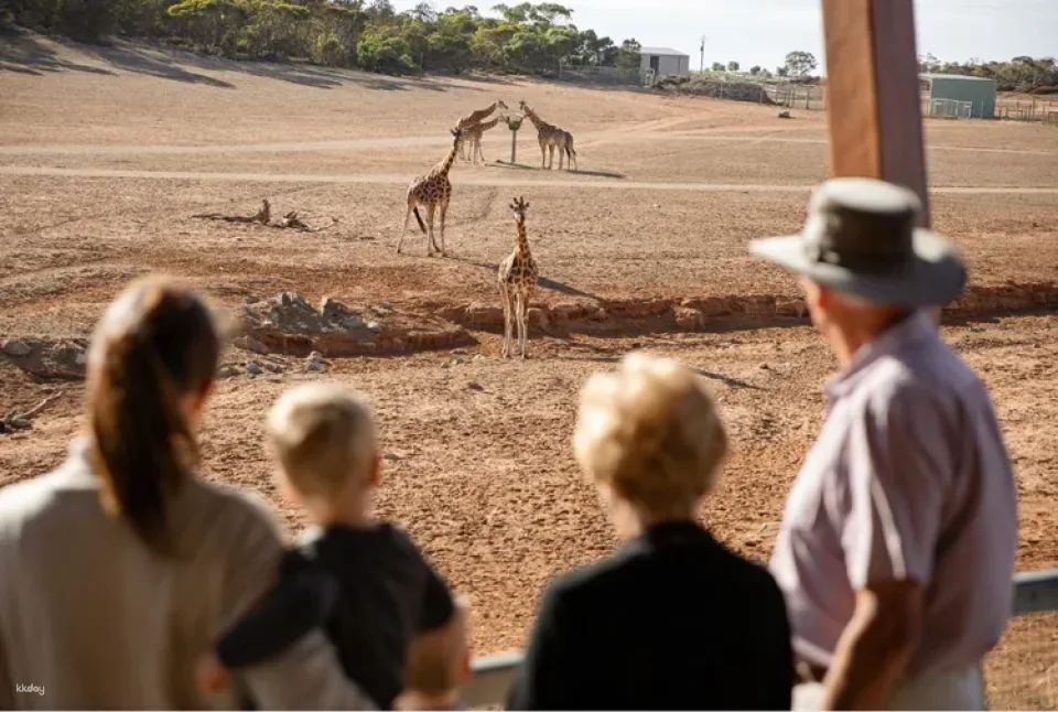 Monarto Safari Park - General Admission