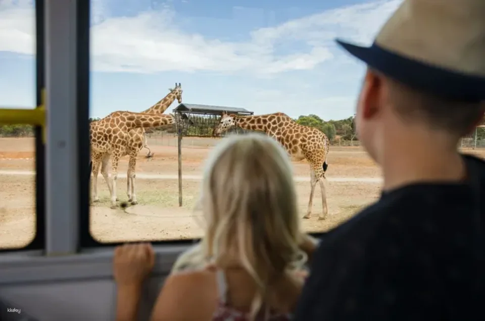 Monarto Safari Park - General Admission