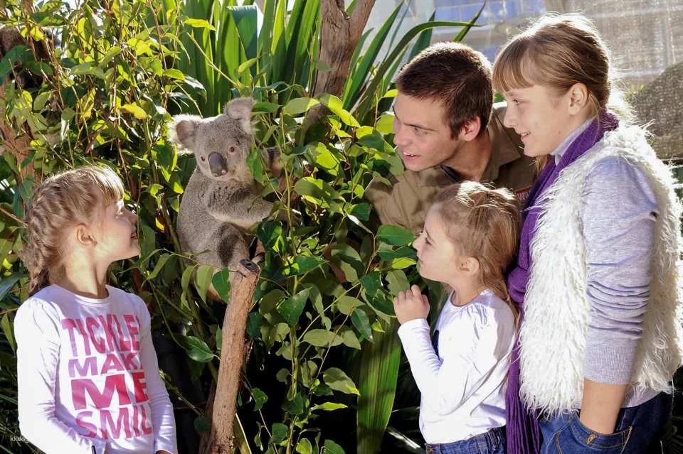 WILD LIFE Sydney Zoo Ticket | Australia