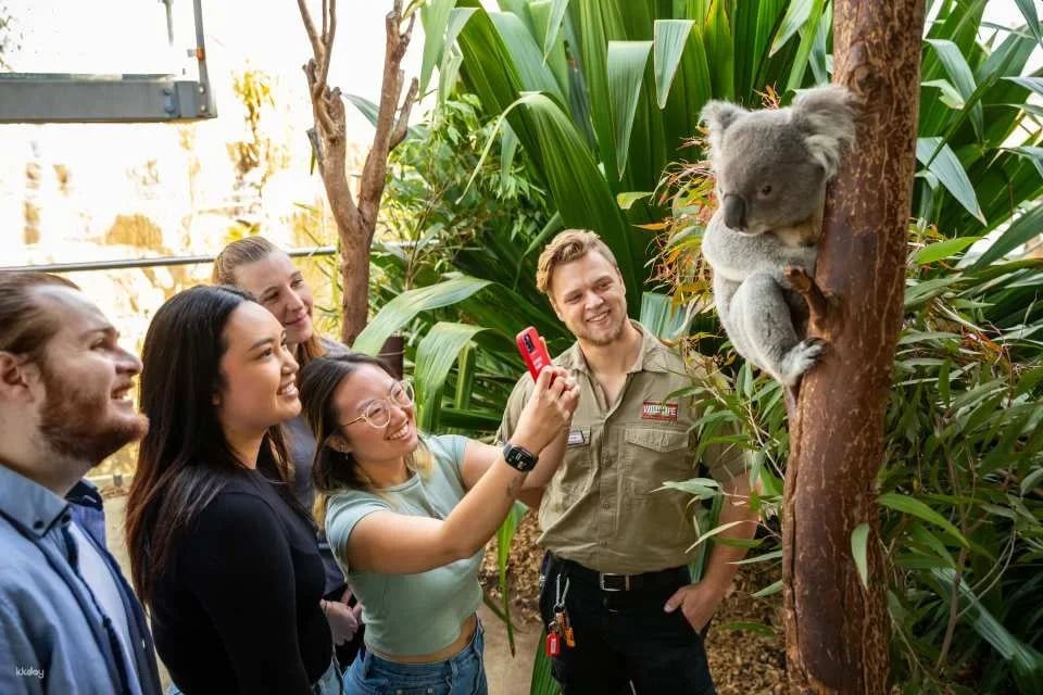 WILD LIFE Sydney Zoo Ticket | Australia