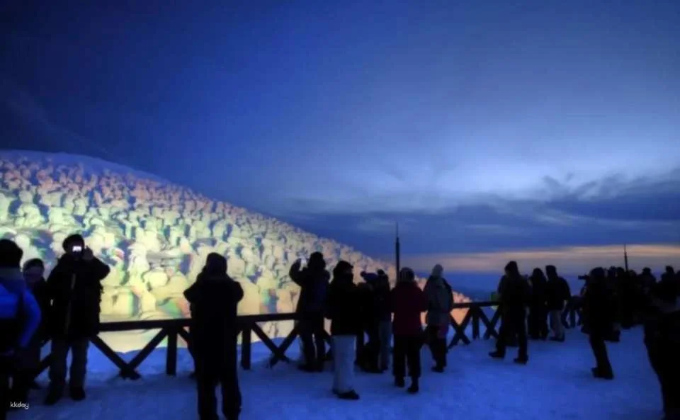 Zao Snow Monster Illumination Tour from Sendai (Includes Bus Transfer & Guaranteed Nightcruiser Seats)