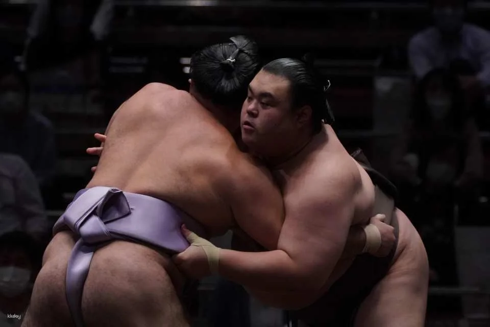 [Guaranteed Departure] Guided Tour of Tokyo Grand Sumo Retirement Ceremony & Hair-Cutting Ceremony with Hair-Cutting Experience | Chanko Nabe Lunch Included