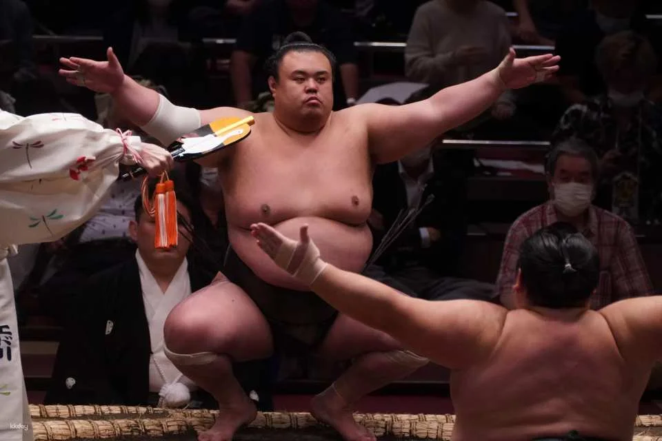 [Guaranteed Departure] Guided Tour of Tokyo Grand Sumo Retirement Ceremony & Hair-Cutting Ceremony with Hair-Cutting Experience | Chanko Nabe Lunch Included