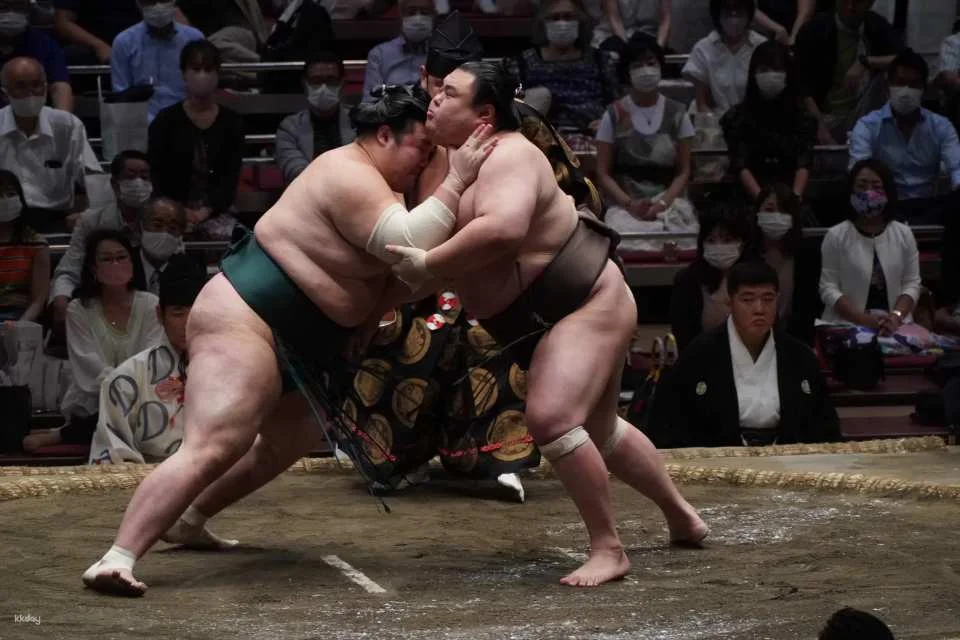 [Guaranteed Departure] Guided Tour of Tokyo Grand Sumo Retirement Ceremony & Hair-Cutting Ceremony with Hair-Cutting Experience | Chanko Nabe Lunch Included