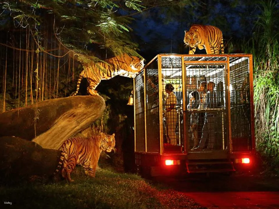 Jungle Vibe & Wildlife Drive: Bali Safari Day Experience (764966)